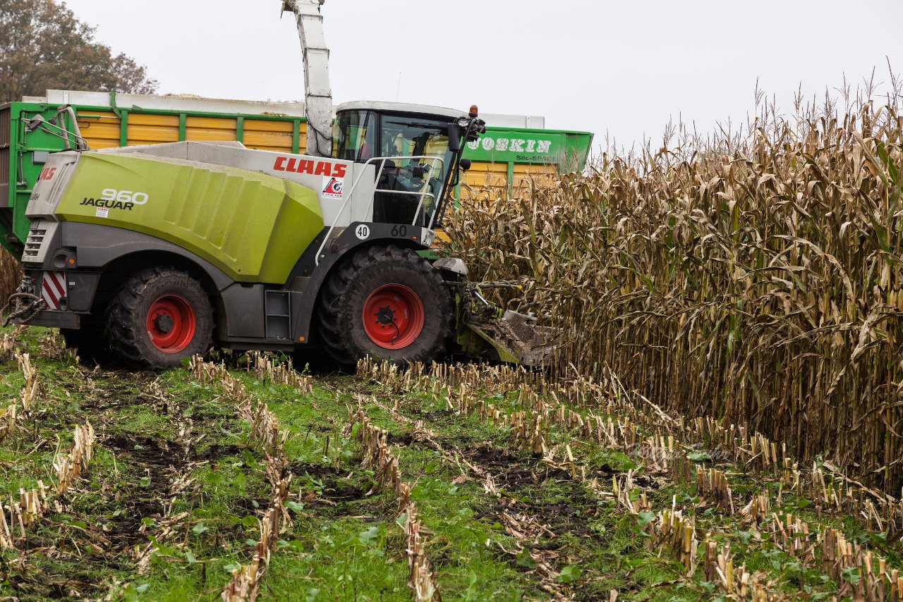 Bild 142 - Biogas am 21.10.12